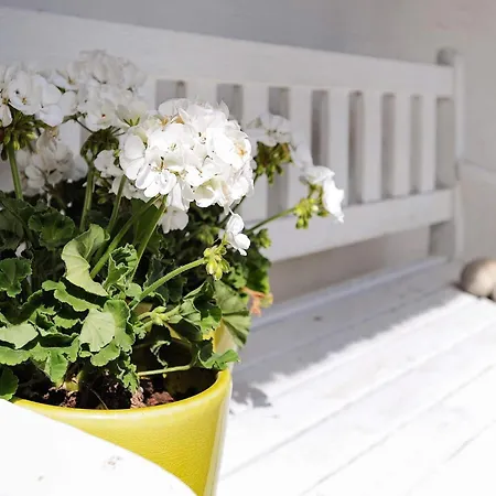 Seaside Charm In Baring - By Traum Feriehus Asperup